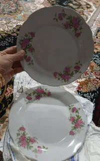 چینی های گلدیسی