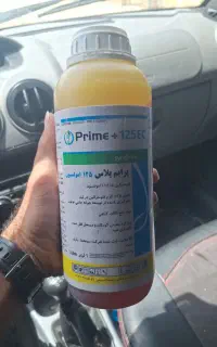 پرایم پلاس(سم چروک)