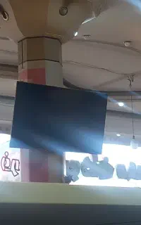 تلوزیون