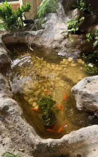 نیروی خدماتی خانم