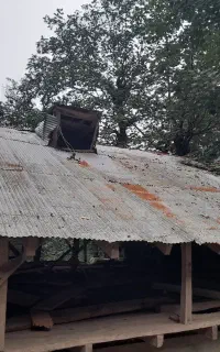 چوب جنگلی اره ای سالم واشان سالم ۴متری و حلب