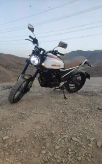 کافه ریس کویر بلنتا زونتس