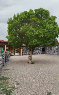 پانسیون اسب