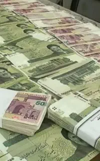 نیازمند ضامن باشیرینی