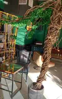 باریستا حقوق ۸میلیون