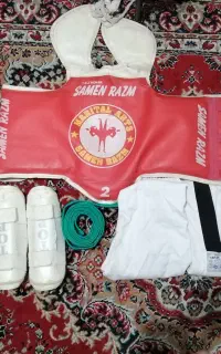 هوگو تکواندو