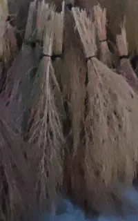 جارو درجه یک