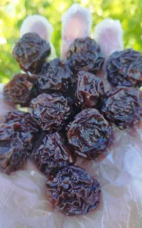 فروش عمده آلوچه خورشتی زرد طلایی و سیاه