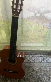 گیتار سوزوکی اصل