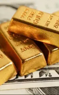 جذب کار آموز طلا در گالری