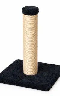 اسکرچر ساده کلاسیک