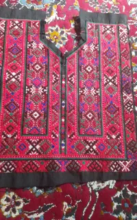 زیاستین چرخی