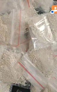 پودر شپش تضمینی