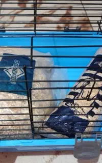 قفس بزرگ خرگوش به همراه پوشال