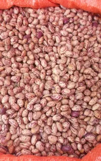 لوبیا چیتی اعلا