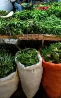 کارگر جهت کار در سبزی فروشی