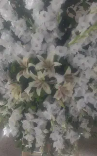 استند گل زیر قیمت