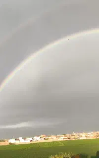 آموزش ترید و بازار های مالی