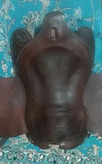 زین اسب عبدالخالق ووایت هورس کانادایی دهنه