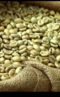 دان سبز قهوه