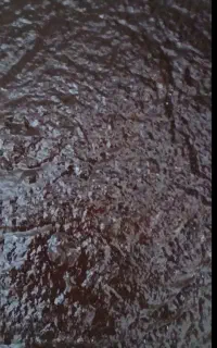 رب درجه۱ ترش امساله