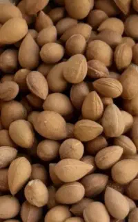بادام درشت