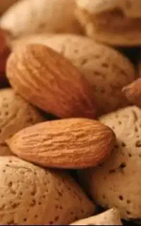 خرید وفروش بادام نقدی