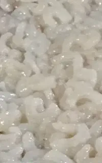 میگو بسته بندی تازه جنگل