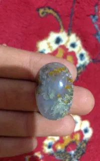 سنگ فیروزه و شجر
