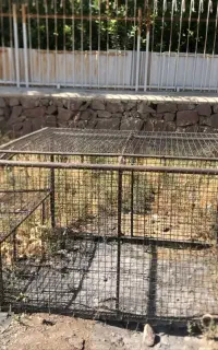 باربند وانت پیکان