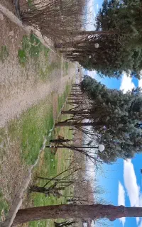 سرایدار باغ