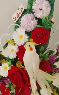 عروس هلندی