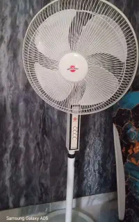 پنکه