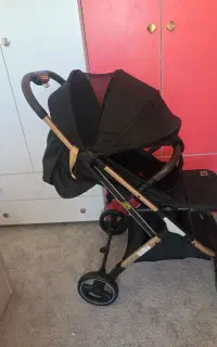 کالسکه cavalo ایتالیا