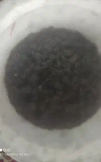 تمشک تازه چین