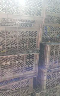 سبد یا جعبه جای میوه