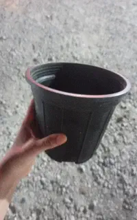 مقداری گلدان