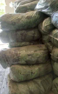 زغال کبابی بسته بندی شده