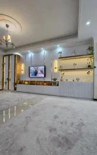 تلویزیون
