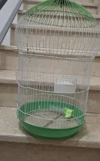 قفس پرنده