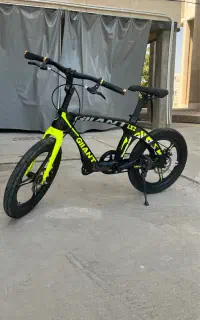 دوچرخ سایز ۲۰ جاینت