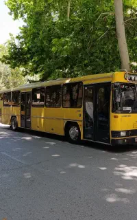 اتوبوس کولردار.مینی بوس (دربستی)