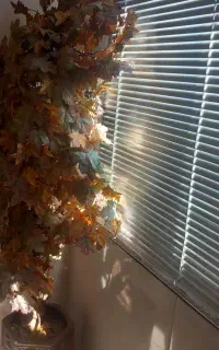 قیمت‌۱‌میلیون‌هست