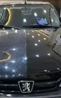 پولیش واکس فقط ۱.۱۰۰