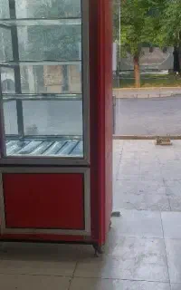 کارگر خانم