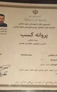 جلوبندی ترمز