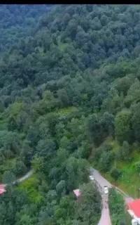 اجاره ویلا جنگلی بسیار دنج