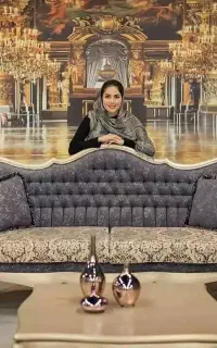 شستشوی مبلمان برتر مبل شویی برتر استان کرمانشاه