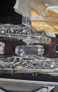کلارینت سوزوکی آکبند