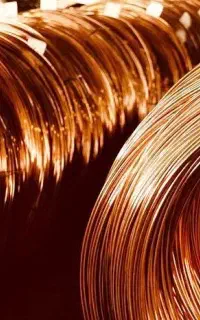 نیازمند کارت بازرگانی جهت صادرات